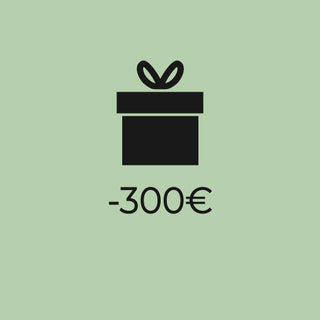 Ideas de regalo por menos de 300€