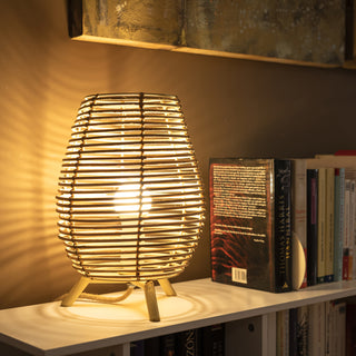 Muebles, iluminación y macetas de interior