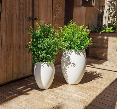 Vaso redondo ALOE 45