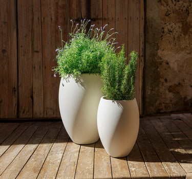 Vaso redondo ALOE 45