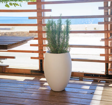 Vaso redondo ALOE 45
