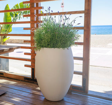 Vaso redondo ALOE 45