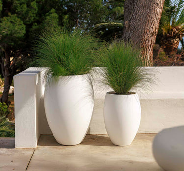 Vaso redondo ALOE 45