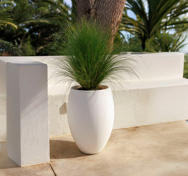 Vaso redondo ALOE 45