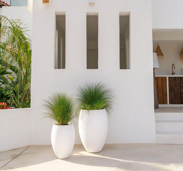 Vaso redondo ALOE 45