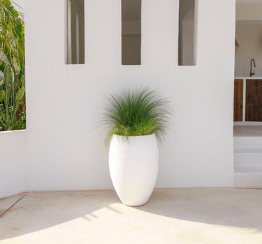 Vaso redondo ALOE 45