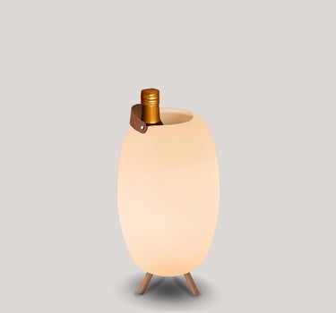 Porta-garrafas iluminado com alto-falante Apollo