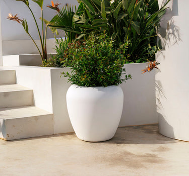 Vaso redondo ARECA 60