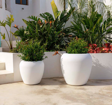 Vaso redondo ARECA 60