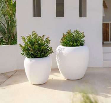 Vaso redondo ARECA 60