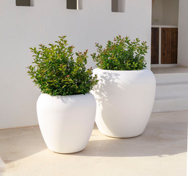 Vaso redondo ARECA 60