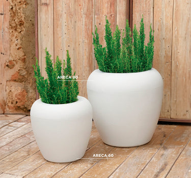 Vaso redondo ARECA 60