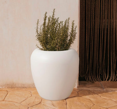 Vaso redondo ARECA 60