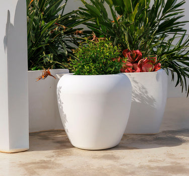 Vaso redondo ARECA 60