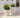 Vaso redondo ARECA 60