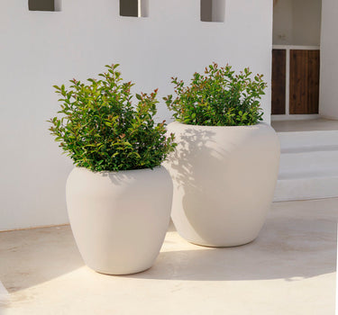 Vaso redondo ARECA 60