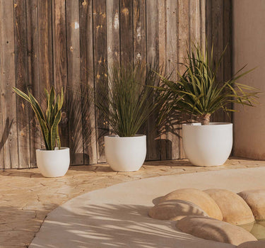 Vaso redondo AZALEA 50