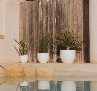 Vaso redondo AZALEA 30