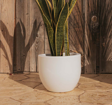 Vaso redondo AZALEA 30