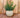 Vaso redondo BEGONIA 80 HIGH