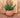 Vaso redondo BEGONIA 80 HIGH