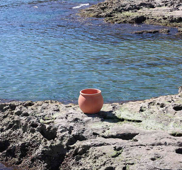 Vaso redondo BEGONIA 80 HIGH