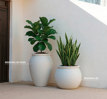 Vaso redondo BEGONIA 80 HIGH