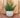 Vaso redondo BEGONIA 80 HIGH