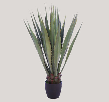 CACTO AGAVE COM VASO 103CM