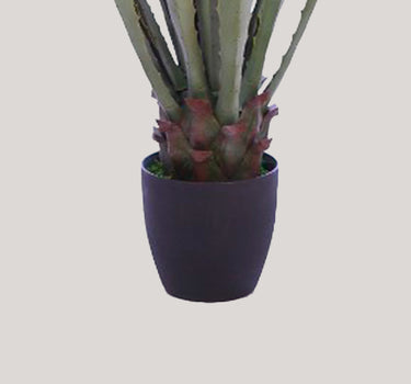 CACTO AGAVE COM VASO 103CM