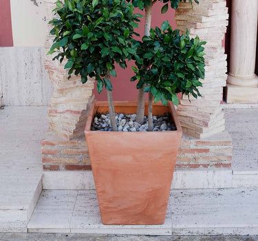 VASO QUADRADO CALENDULA 50 RÚSTICO COLORIDO