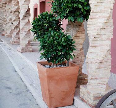 VASO QUADRADO CALENDULA 50 RÚSTICO COLORIDO