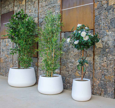 CAMELIA Vaso redondo 60 cores