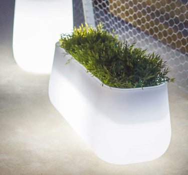 Floreira comprida com luz CAMELIA LARGE