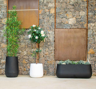 VASO REDONDO CAMELIA HIGH COLORIDO