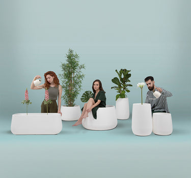 VASO REDONDO CAMELIA HIGH COLORIDO