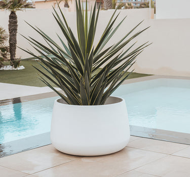 CAMELIA Vaso redondo 40 cores