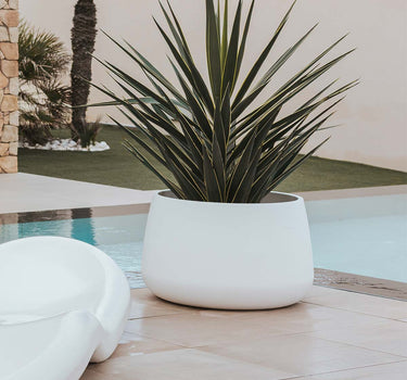 VASO REDONDO CAMELIA HIGH COLORIDO