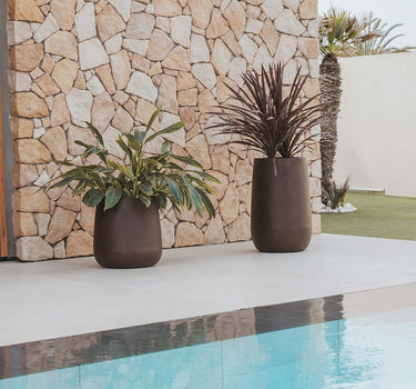 VASO REDONDO CAMELIA HIGH COLORIDO