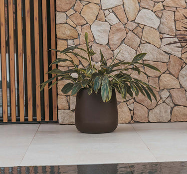 CAMELIA Vaso redondo 60 cores