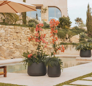 CAMELIA Vaso redondo 60 cores