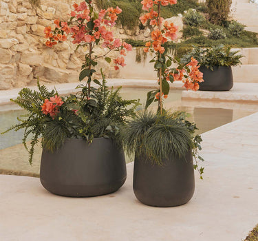 VASO REDONDO CAMELIA HIGH COLORIDO