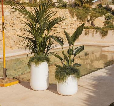 CAMELIA Vaso redondo 40 cores