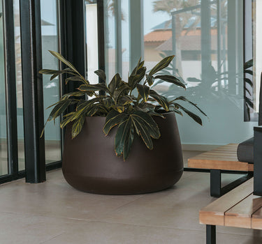 CAMELIA Vaso redondo 60 cores