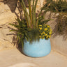CIRCOOLAR | Vaso redondo CAMELIA | Material Reciclado