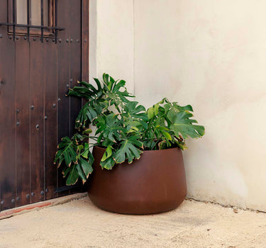 CAMELIA Vaso redondo 60 