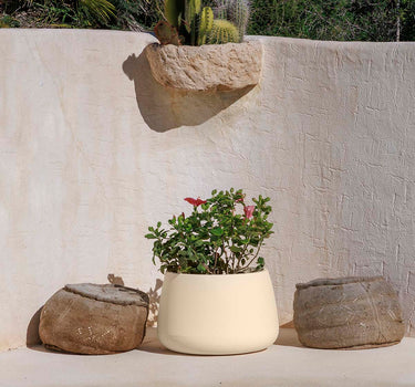 CAMELIA Vaso redondo 60 