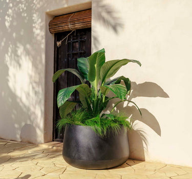 CAMELIA Vaso redondo 80 