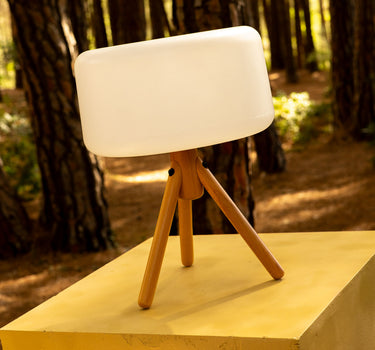 CANDEEIRO DE MESA CHLOE 35