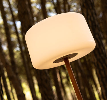 CANDEEIRO DE PÉ SOLAR REGULÁVEL CHLOE PLANT